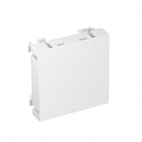 Blanking cover, 1 module, pure white