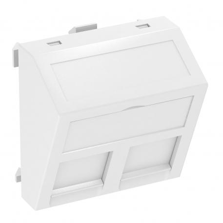 Data technology support, 1 module, slanting outlet, type RM Pure white; RAL 9010